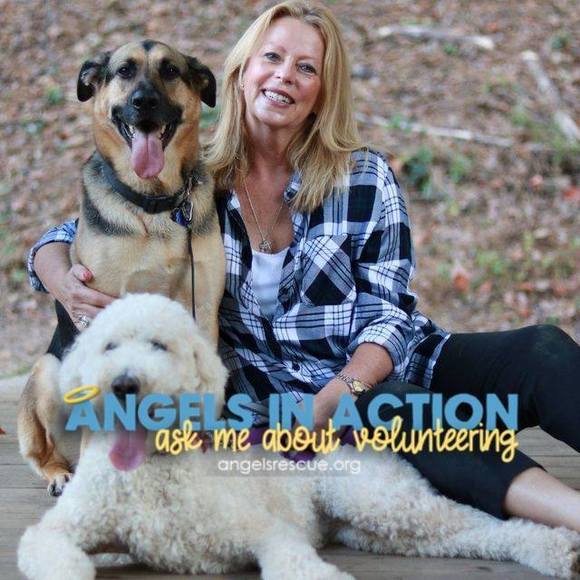 Meet your Posher, Luann - Picture 1 of 1